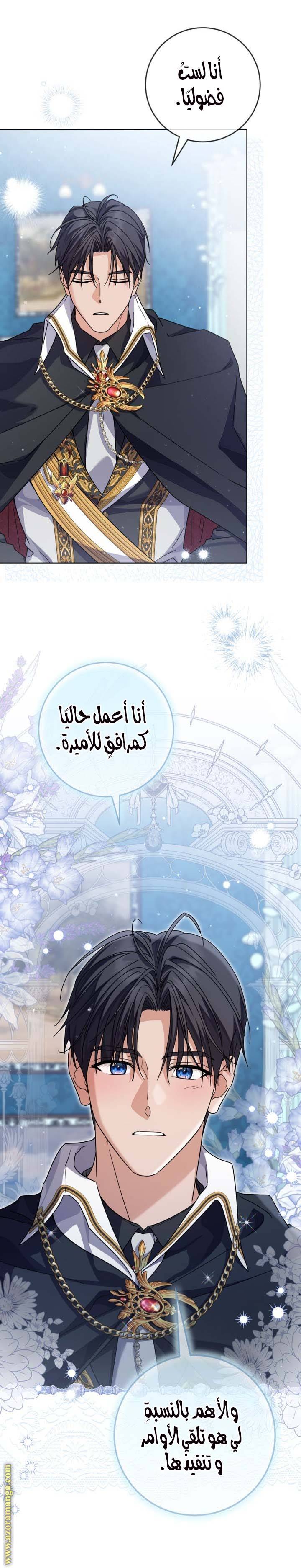 الصفحة 27