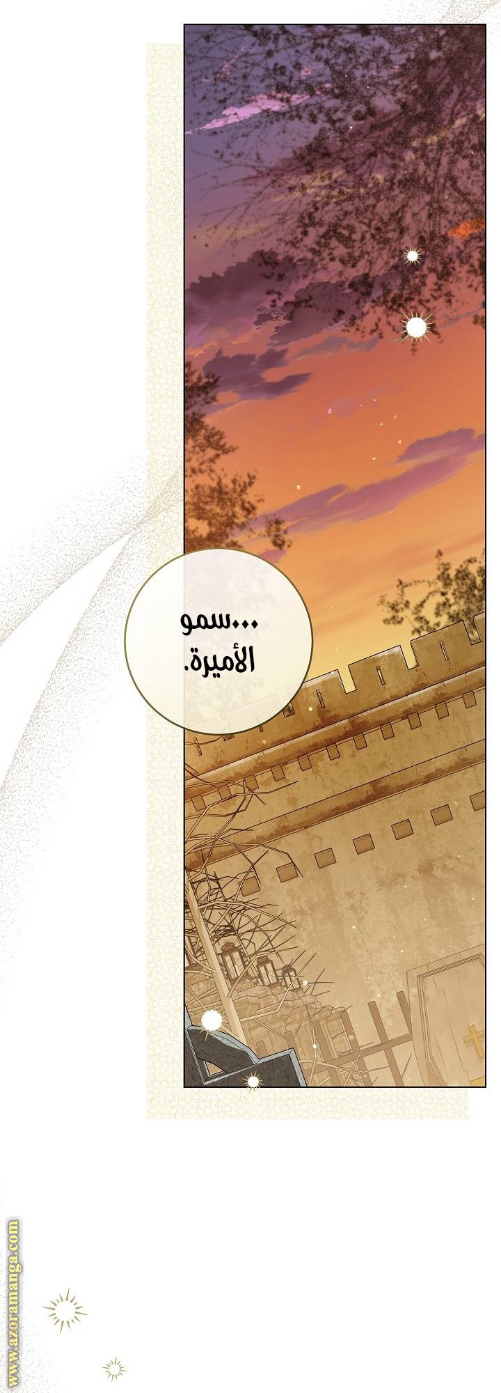 الصفحة 17