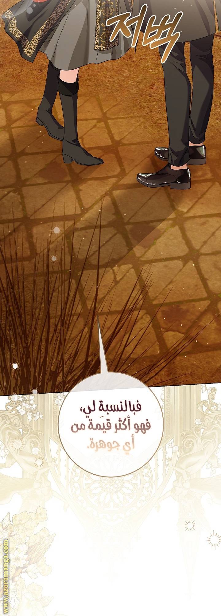 الصفحة 25
