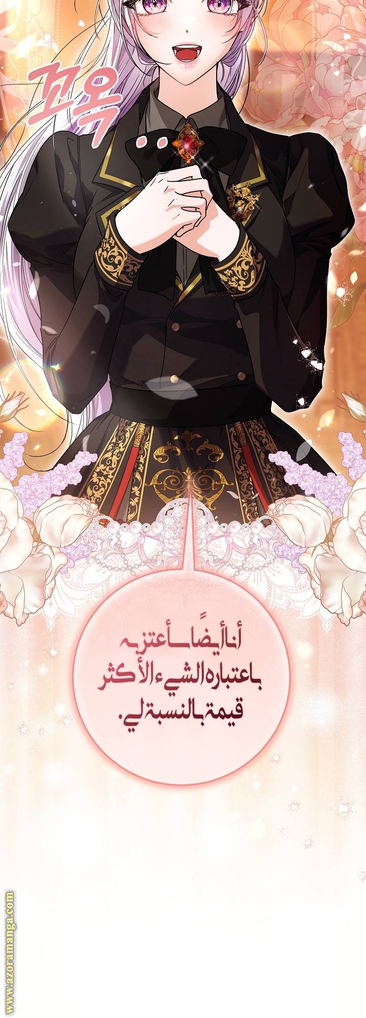 الصفحة 27