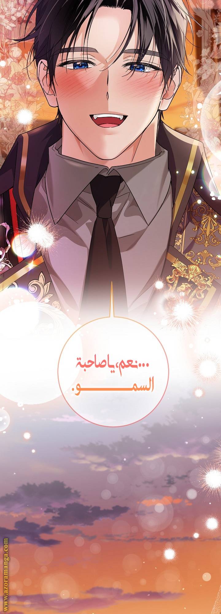 الصفحة 29