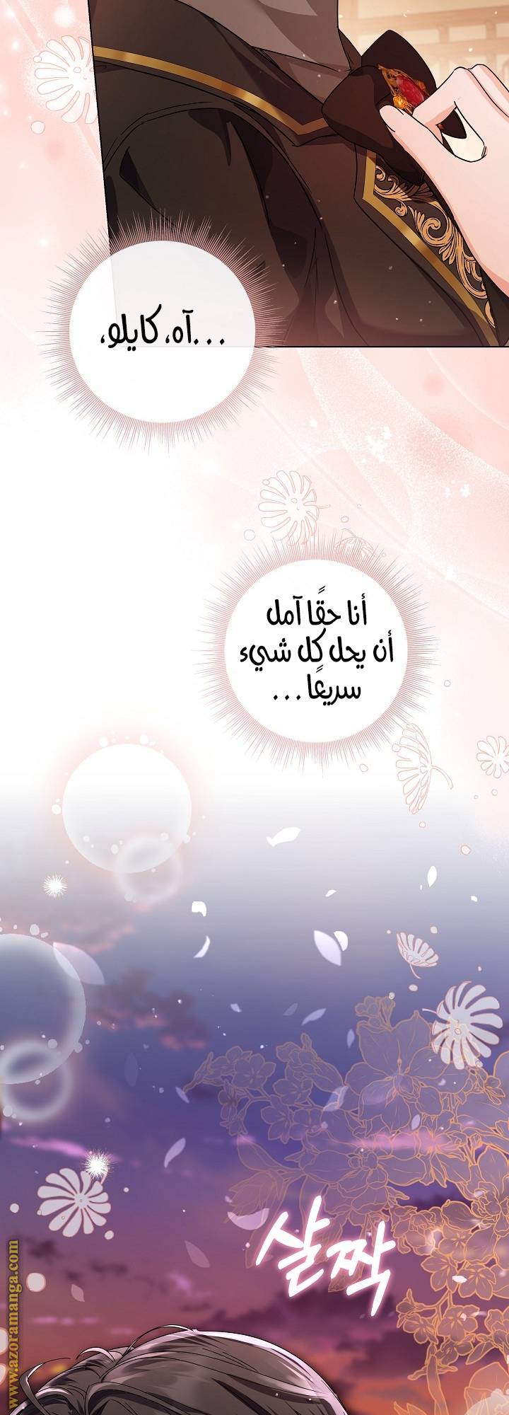 الصفحة 31