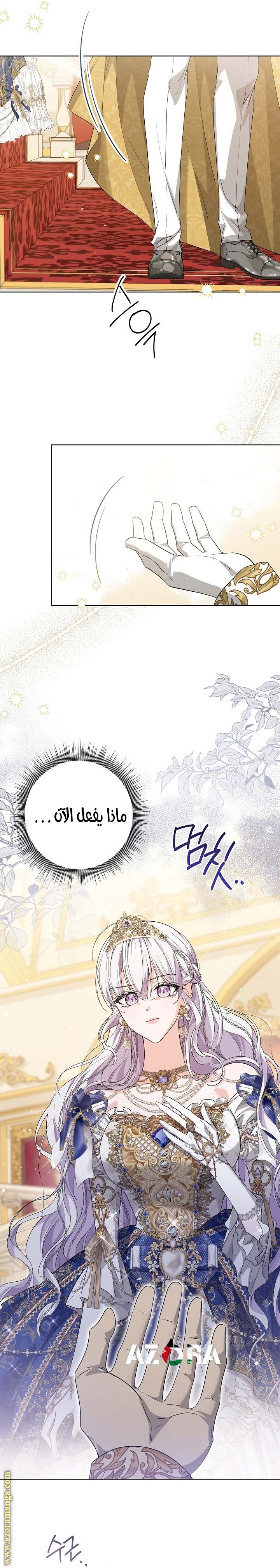 الصفحة 21