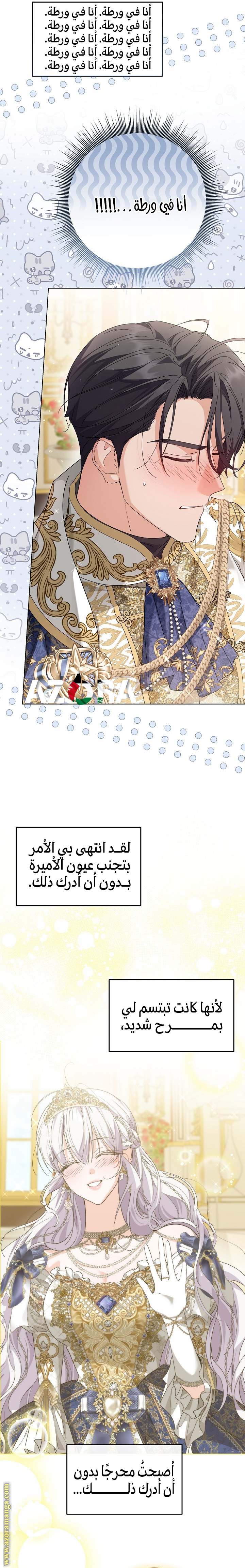 الصفحة 25