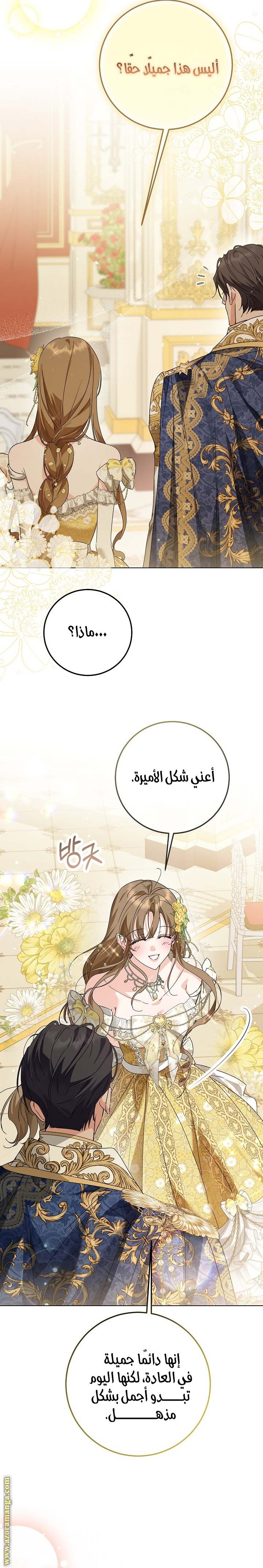 الصفحة 26