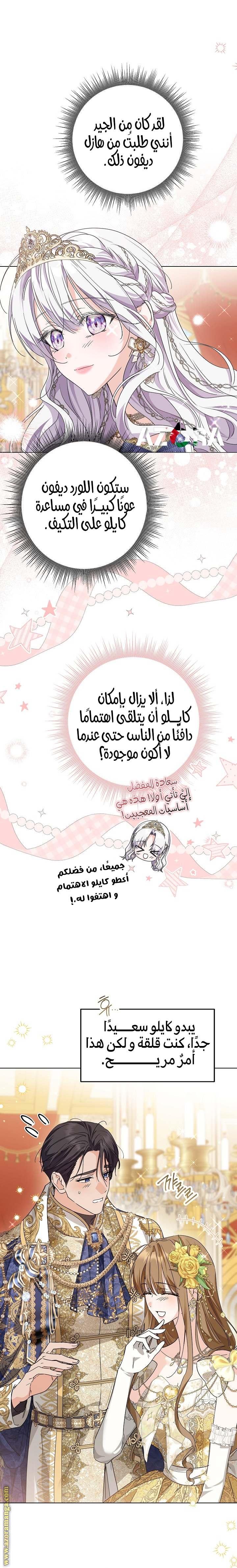 الصفحة 28