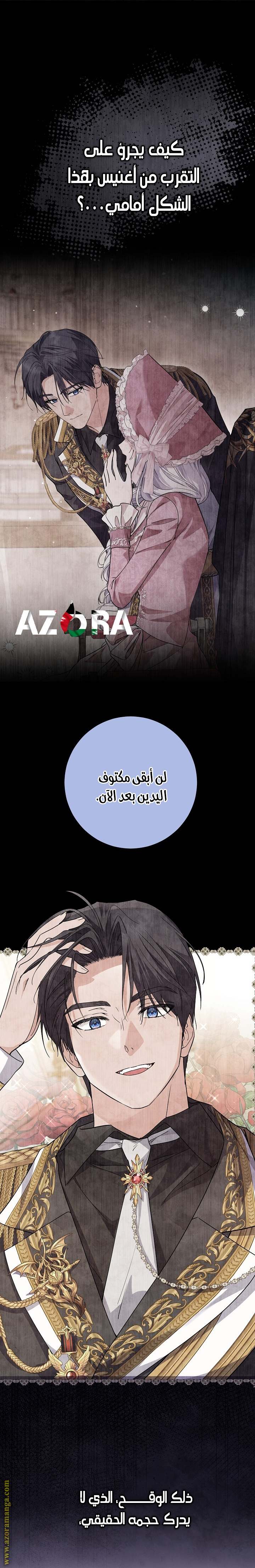 الصفحة 27
