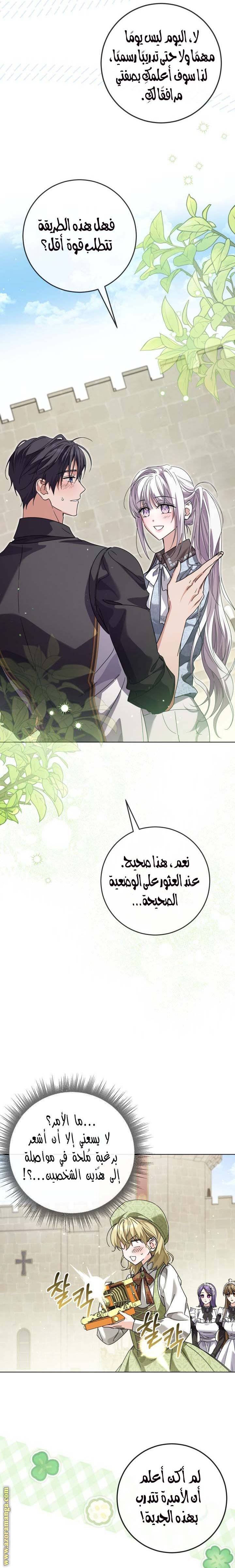 الصفحة 17