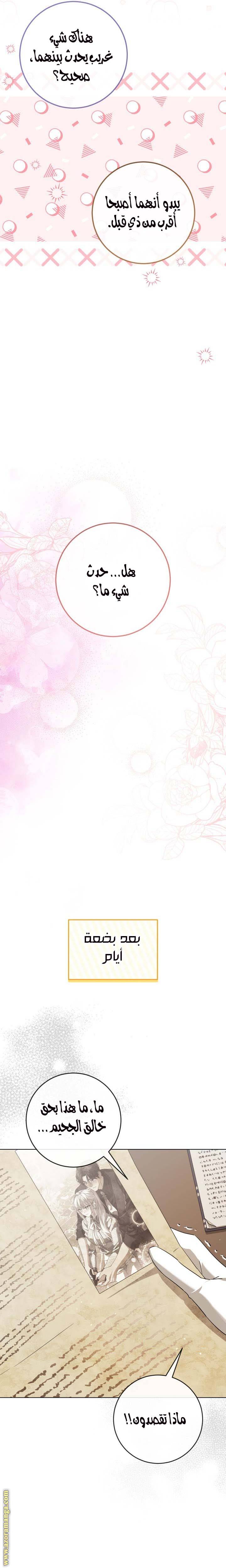 الصفحة 26