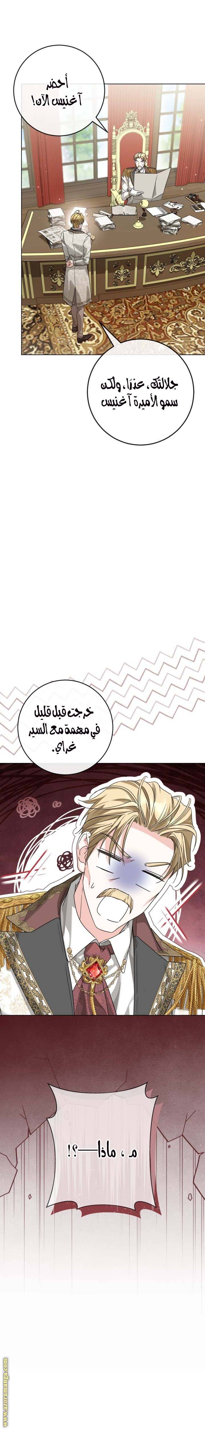 الصفحة 27