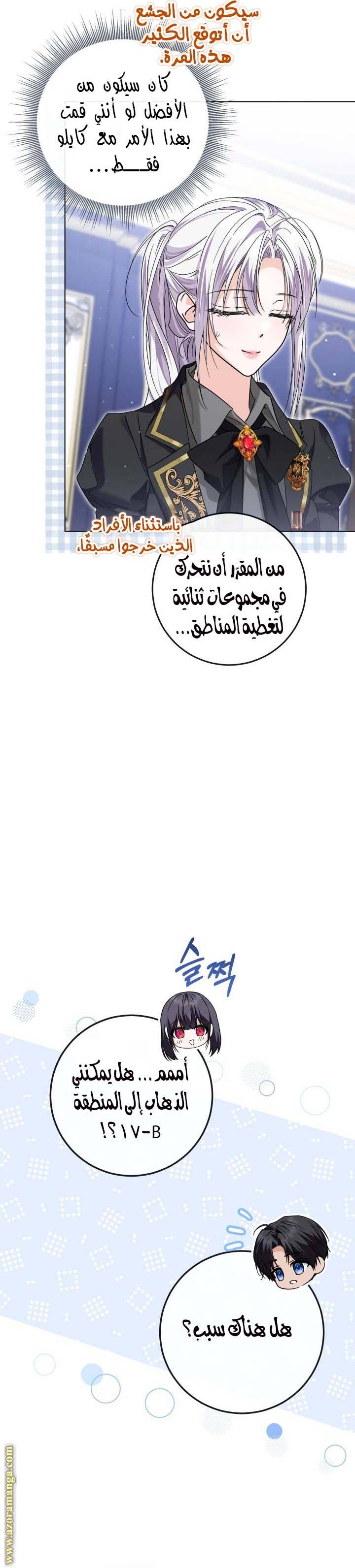 الصفحة 29
