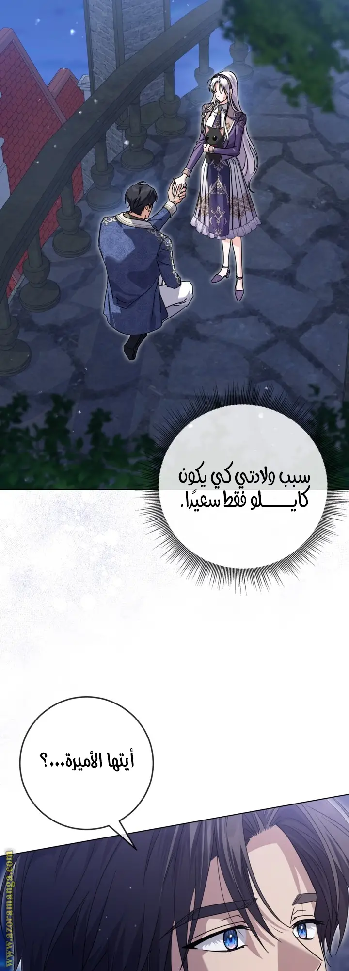 الصفحة 17