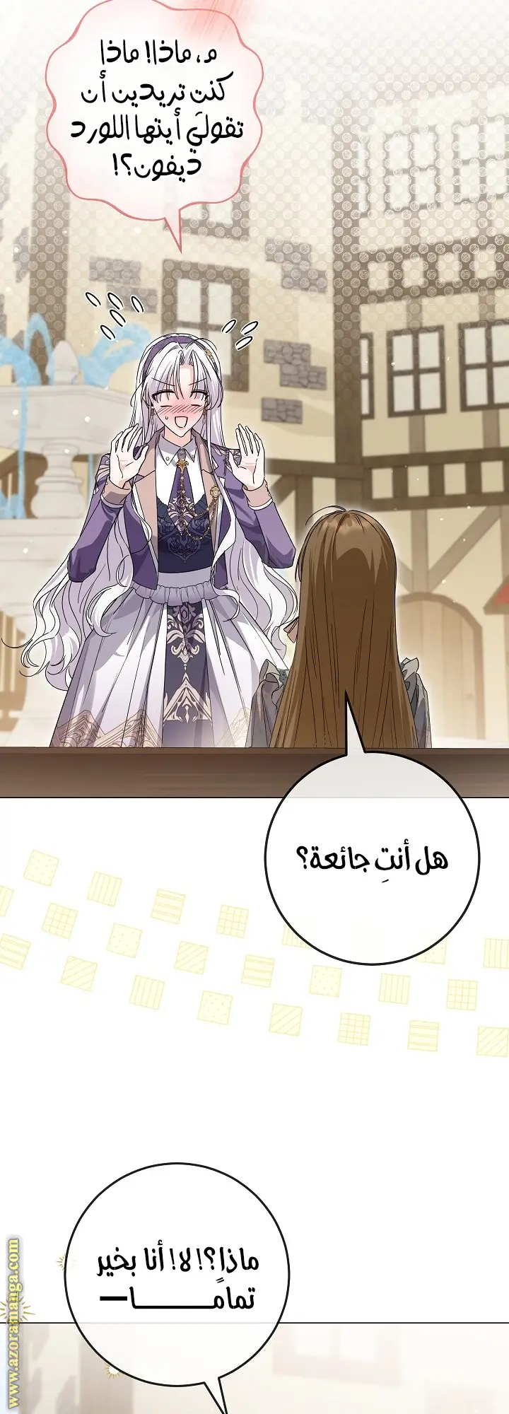 الصفحة 41