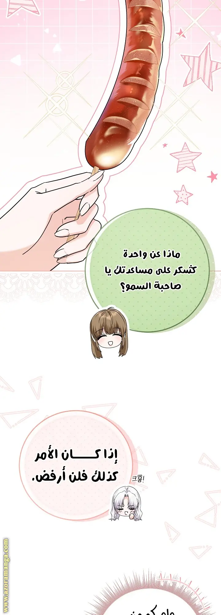 الصفحة 46