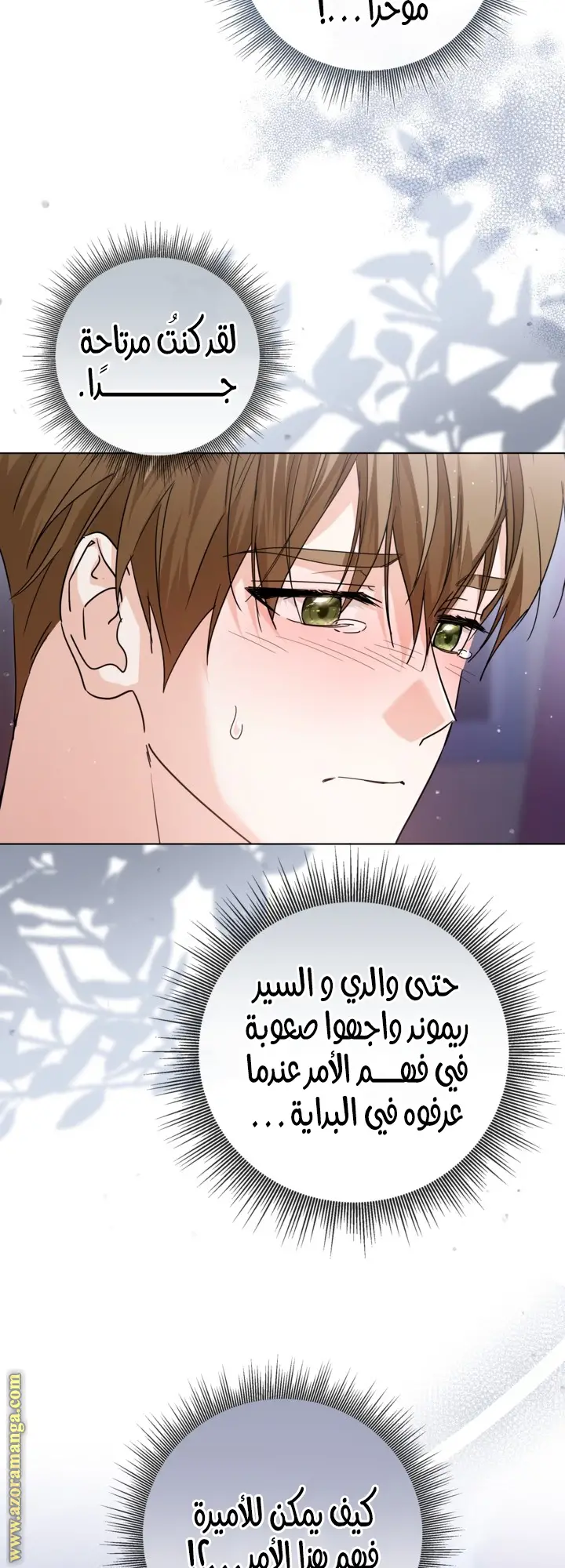 الصفحة 4