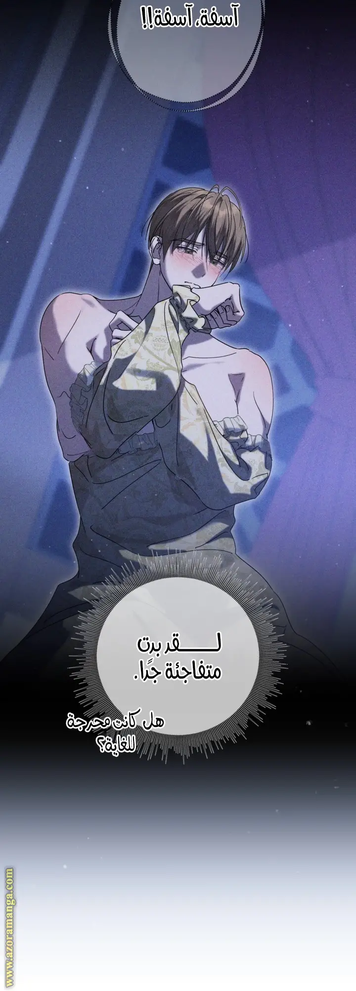 الصفحة 13