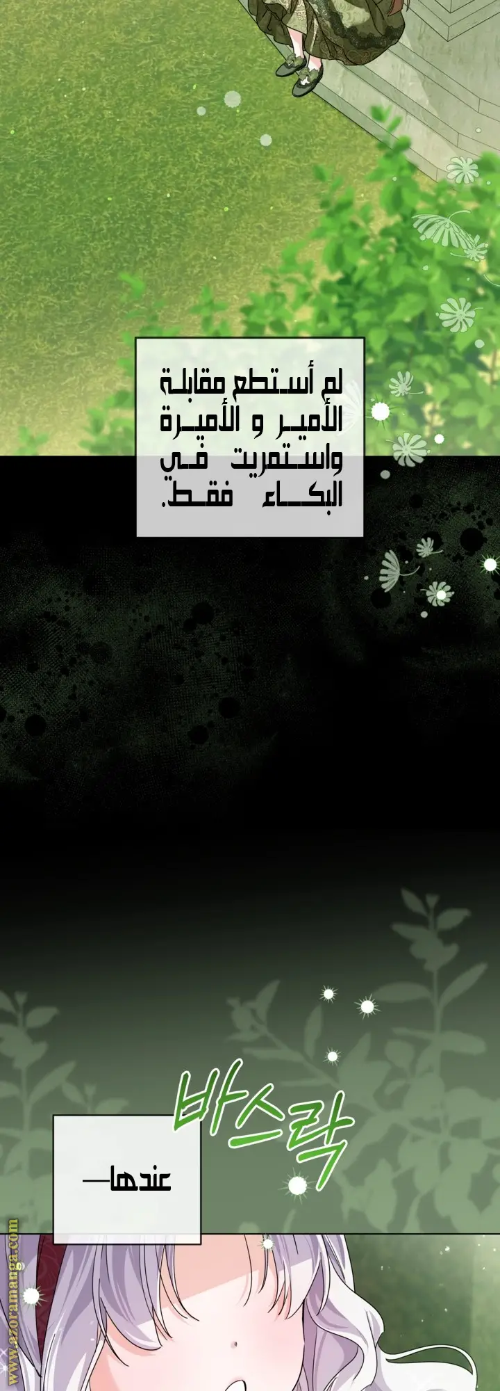 الصفحة 25