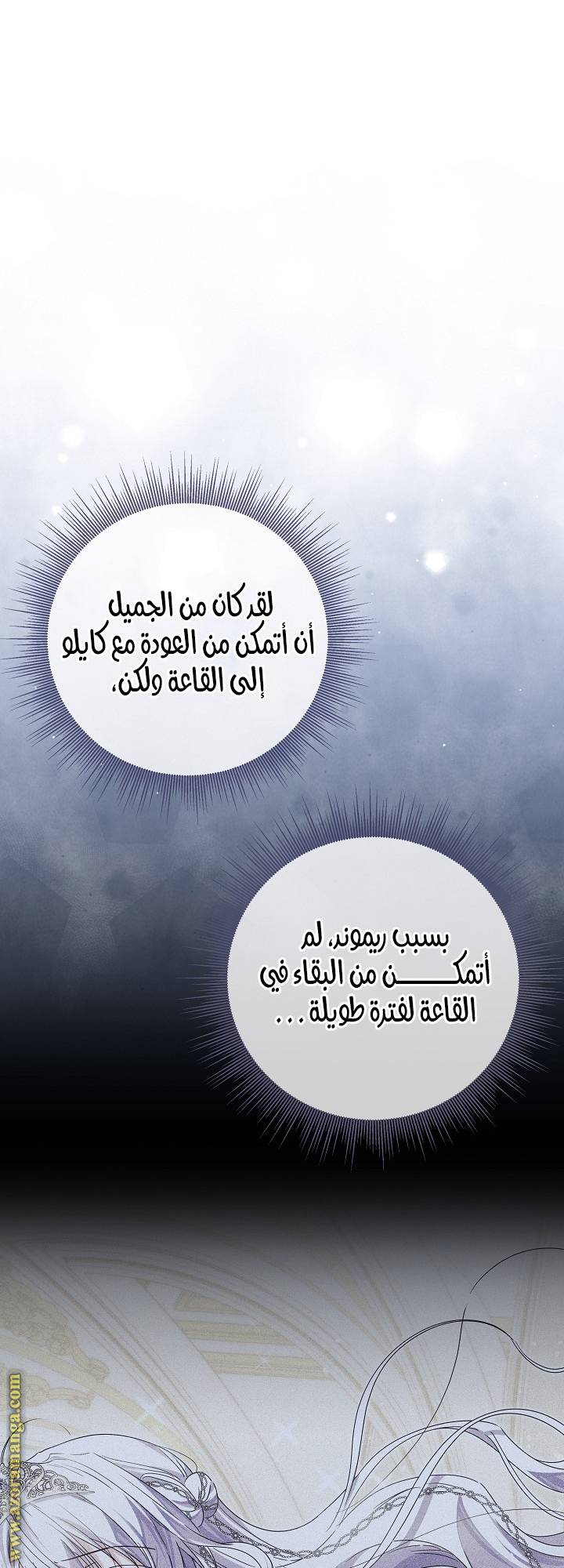 الصفحة 25
