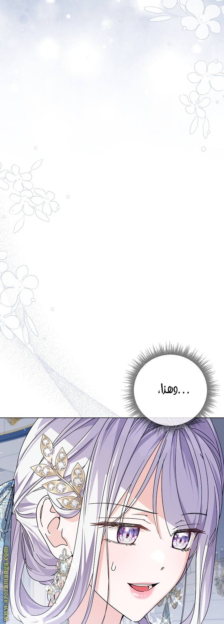 الصفحة 27