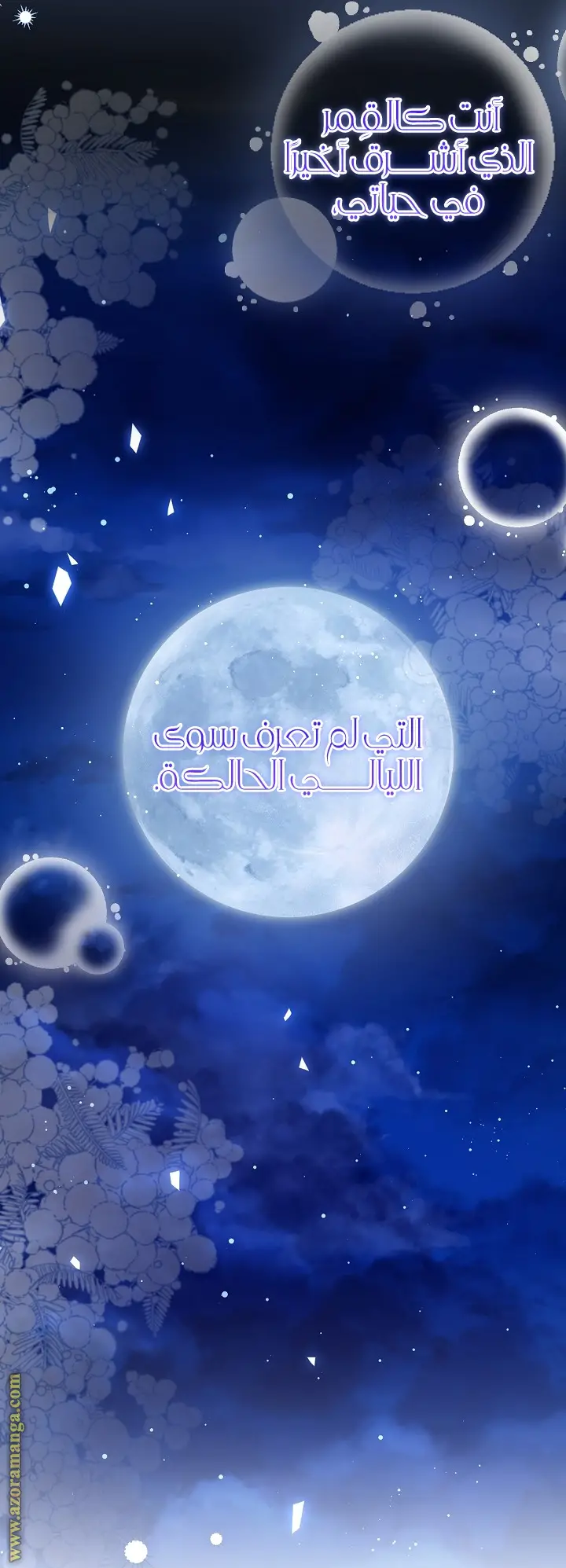 الصفحة 15