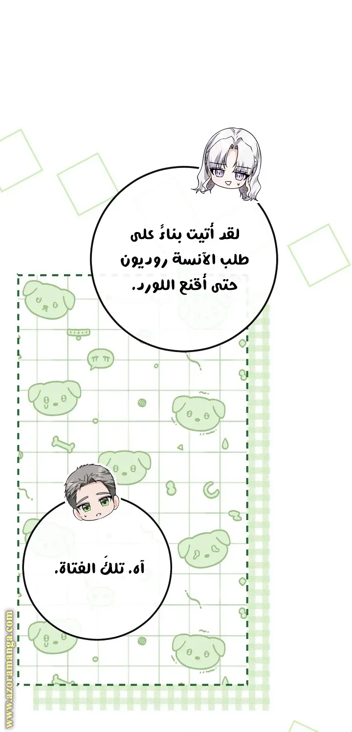 الصفحة 41