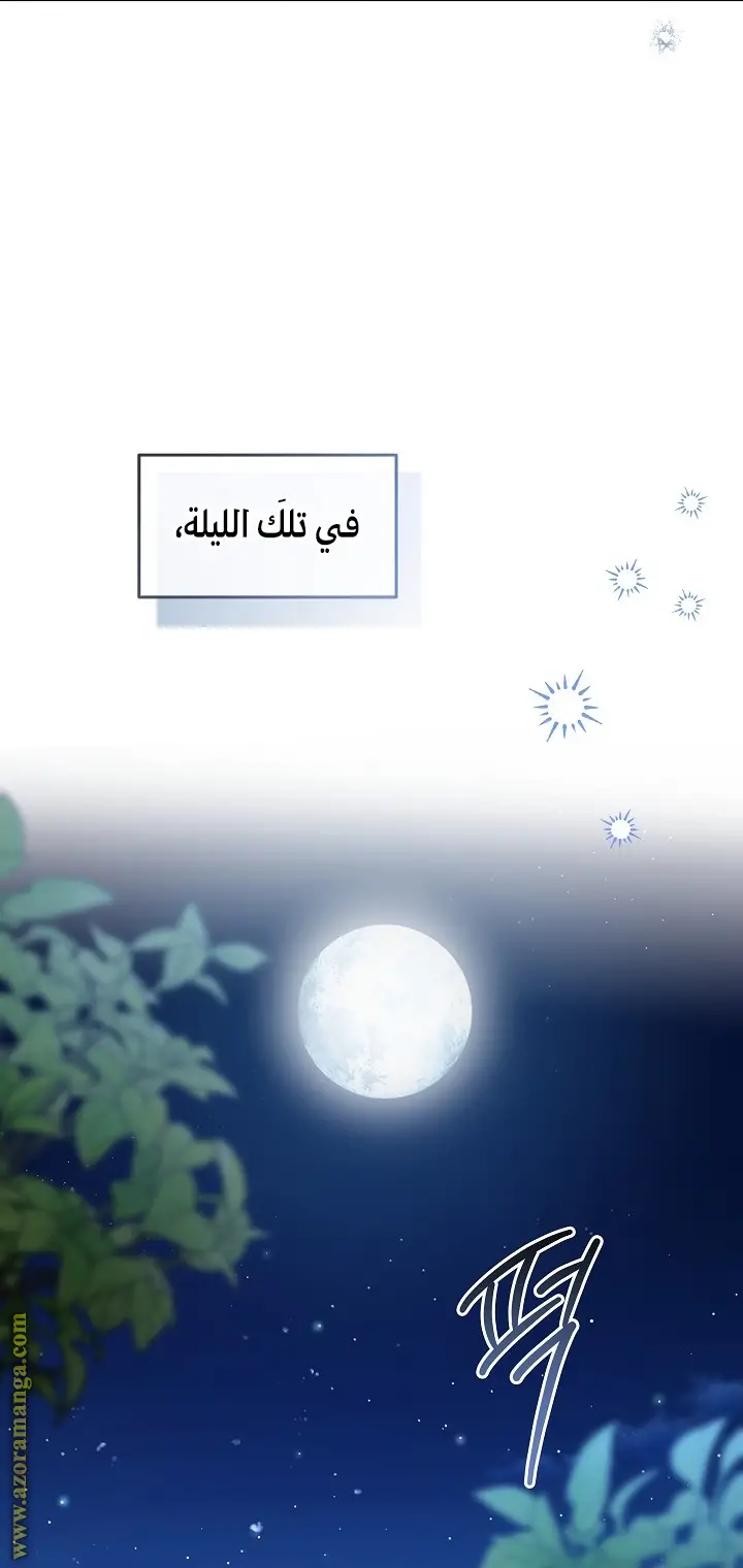 الصفحة 61