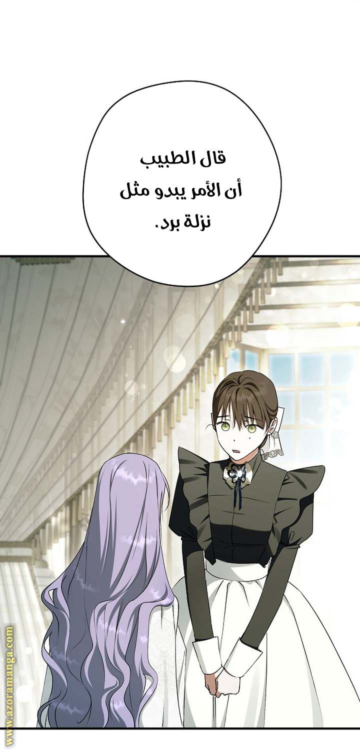 الصفحة 23