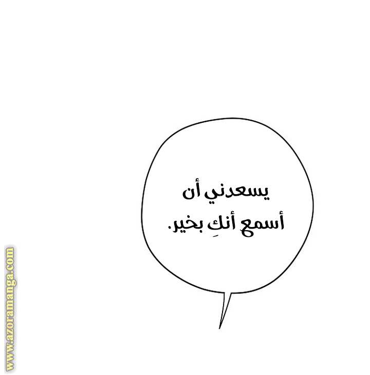 الصفحة 30