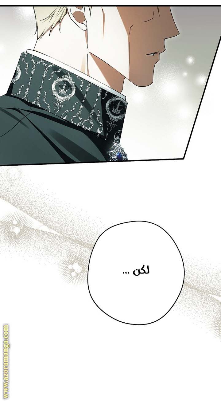 الصفحة 31