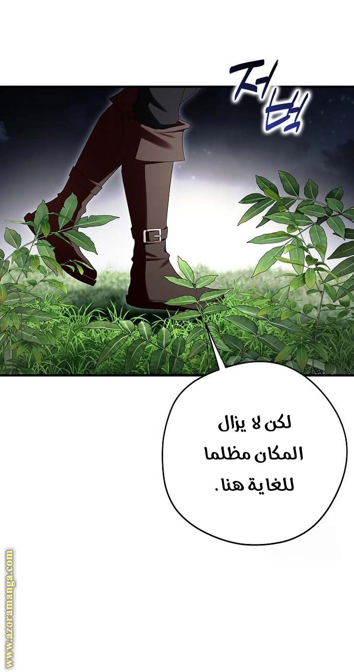 الصفحة 40