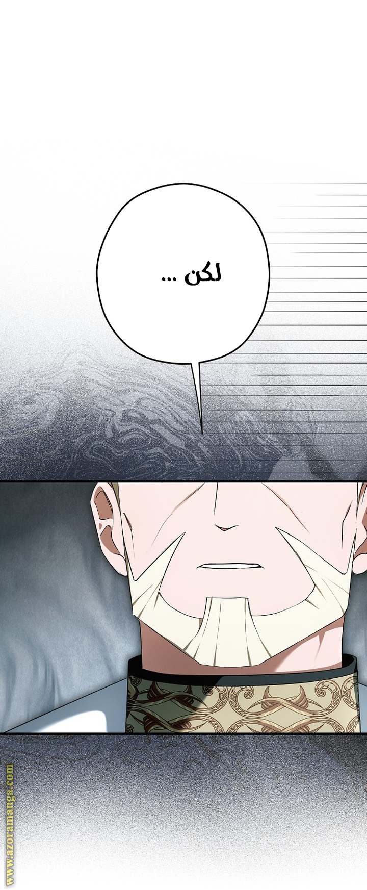 الصفحة 27