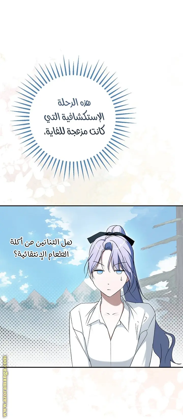 الصفحة 35
