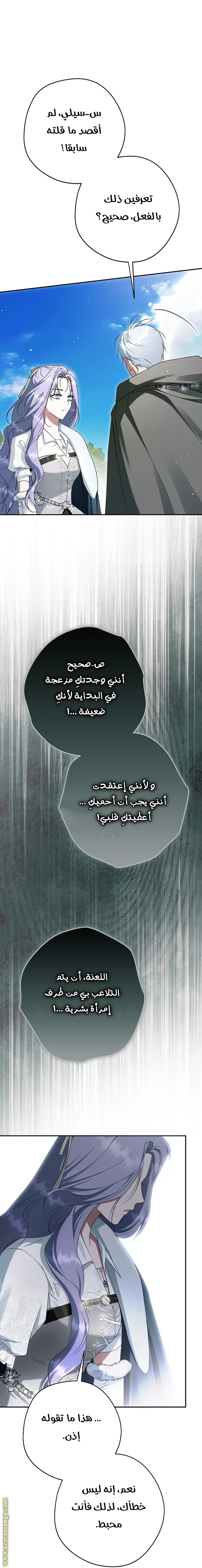الصفحة 42