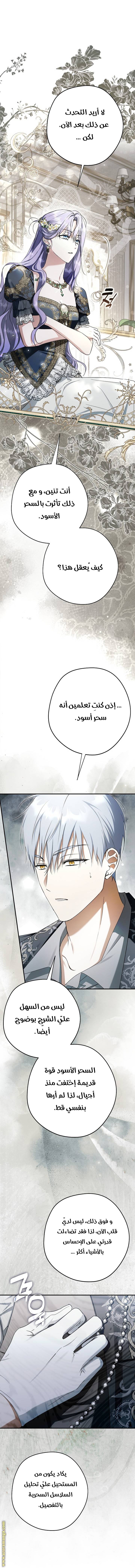 الصفحة 29