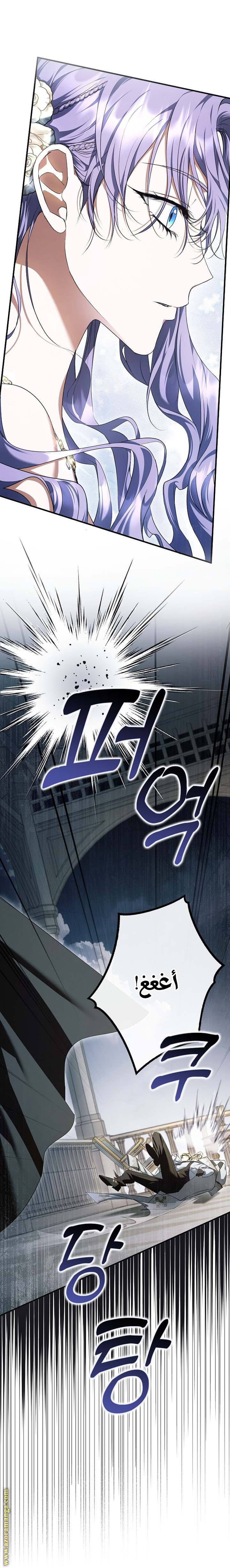 الصفحة 25