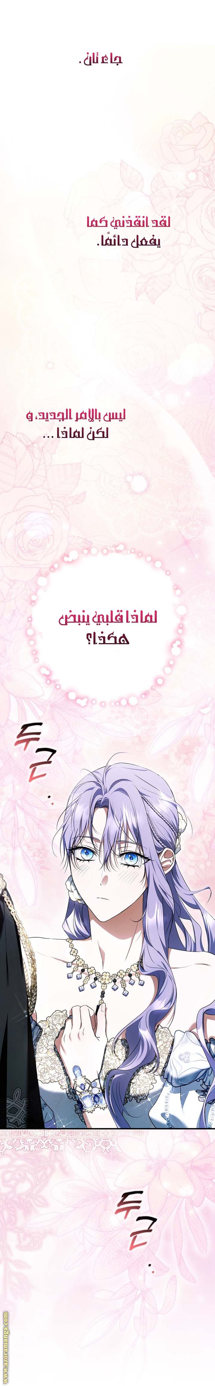 الصفحة 30