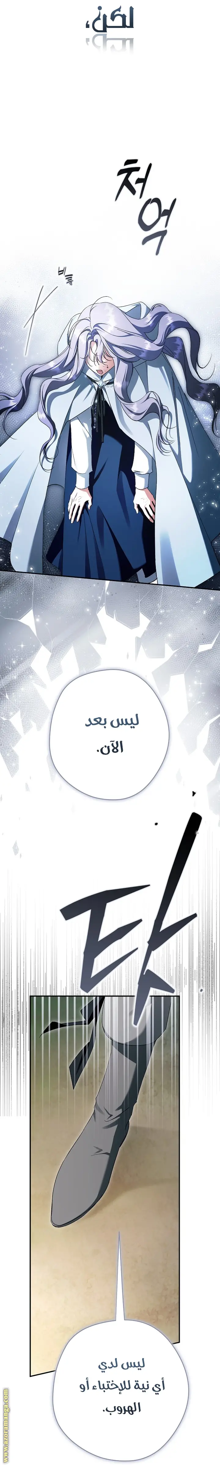 الصفحة 40