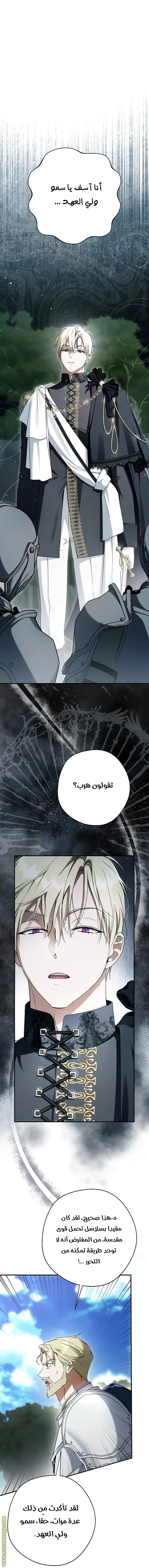 الصفحة 16