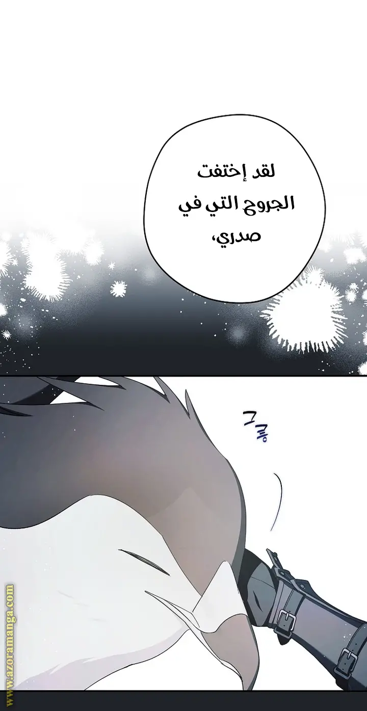 الصفحة 27