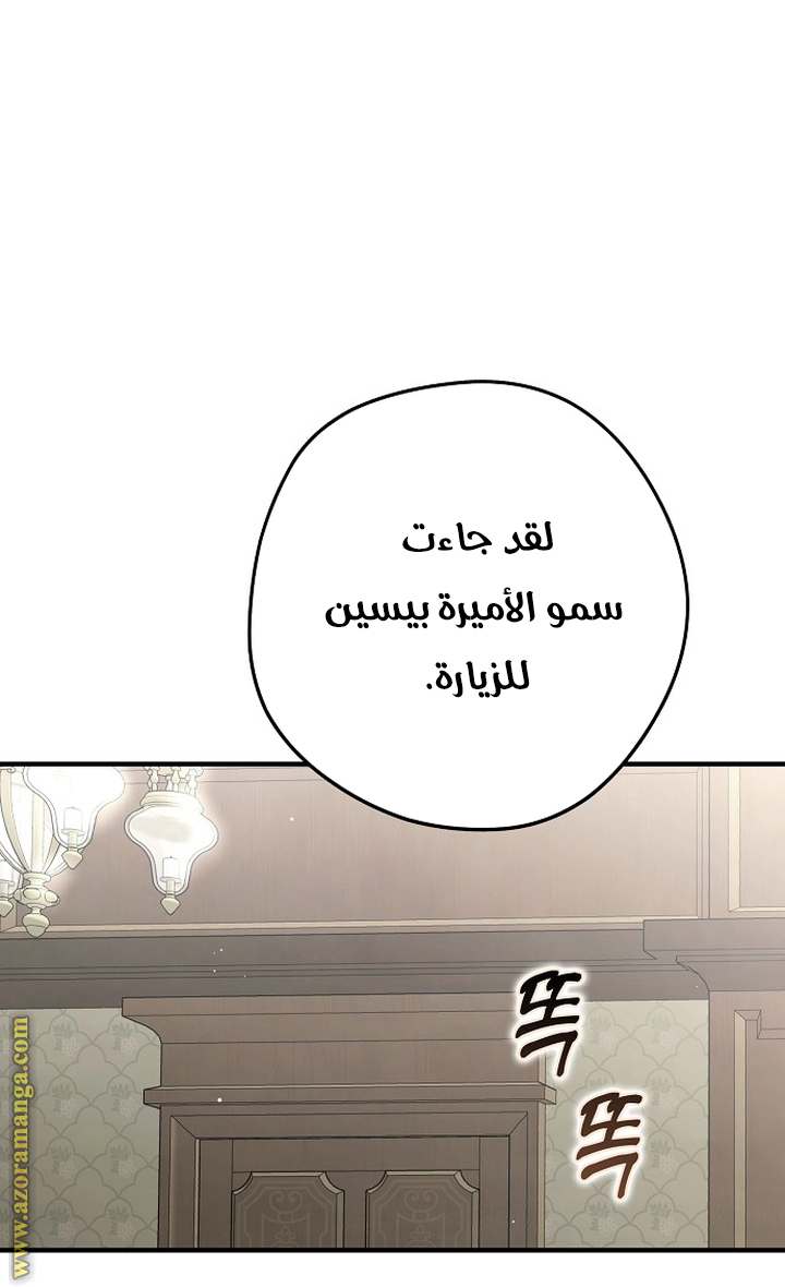 الصفحة 20