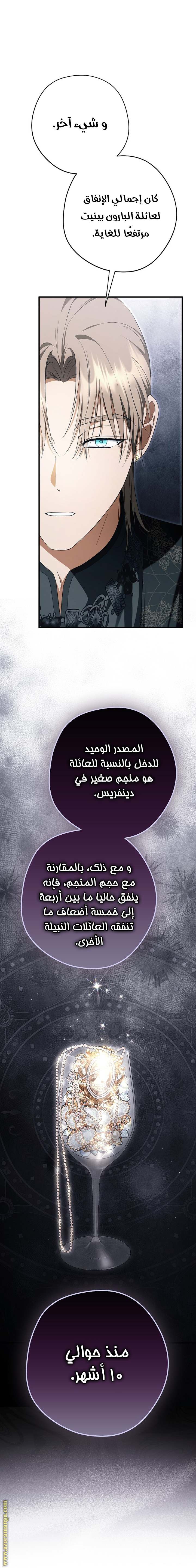 الصفحة 29