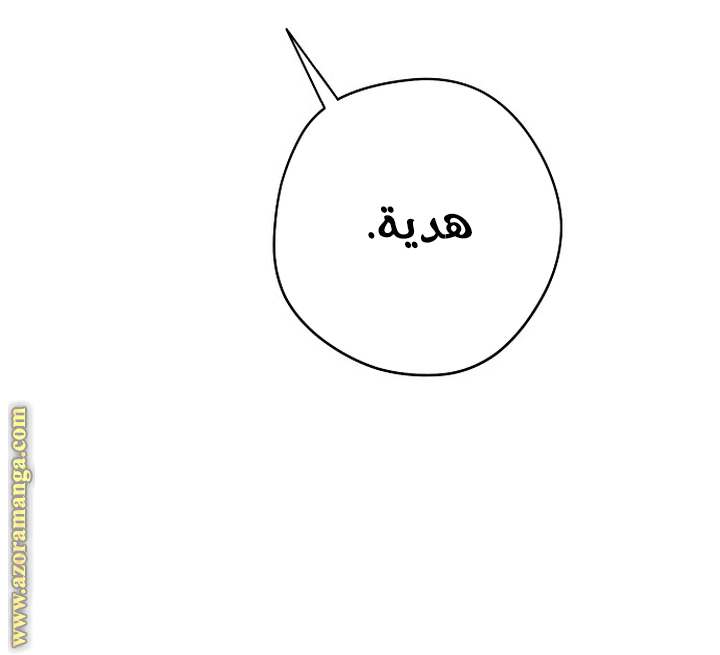 الصفحة 43