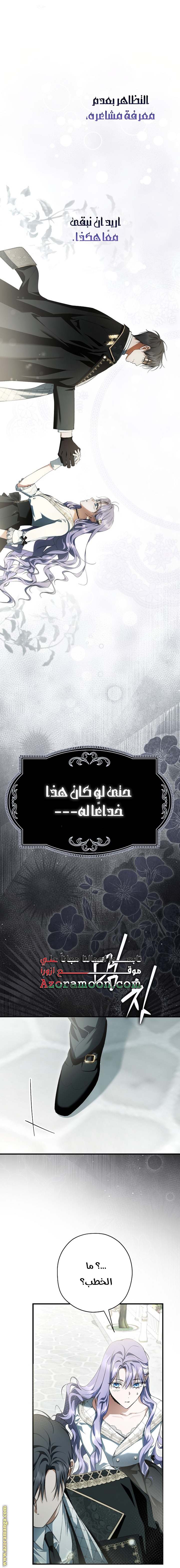 الصفحة 52