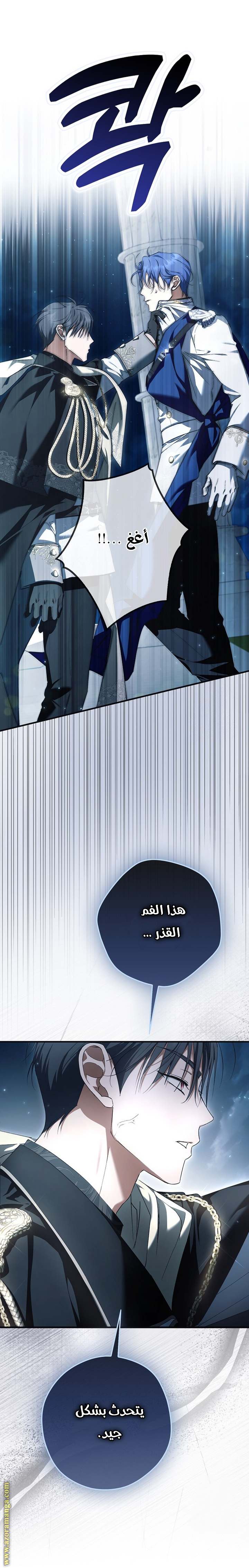 الصفحة 17
