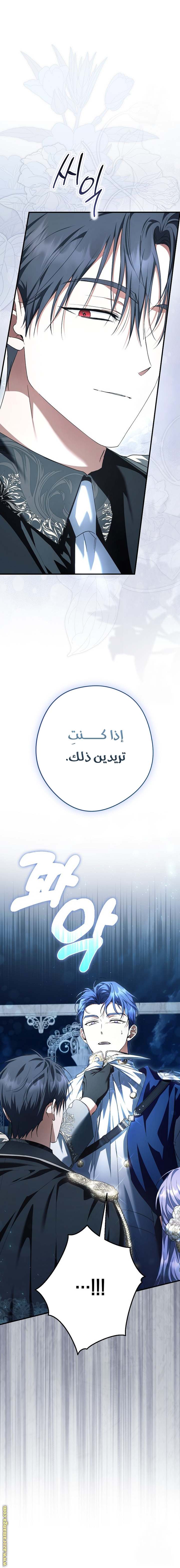 الصفحة 20