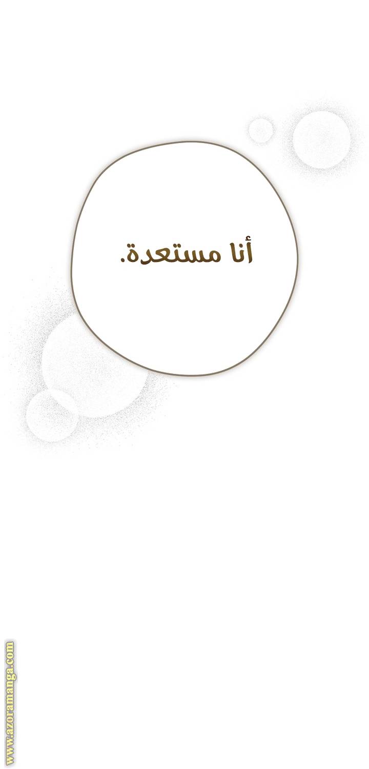 الصفحة 29