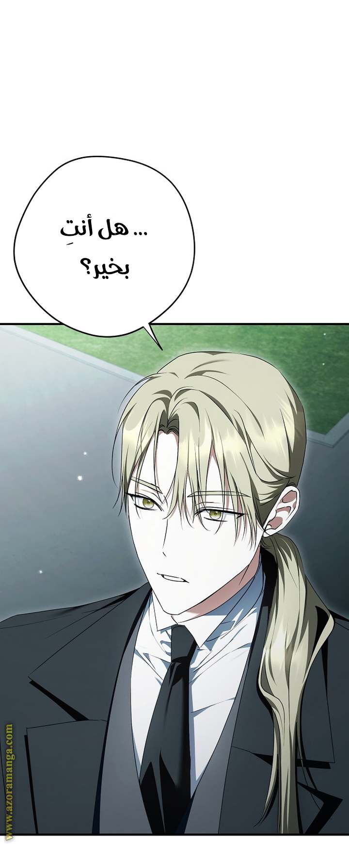 الصفحة 41