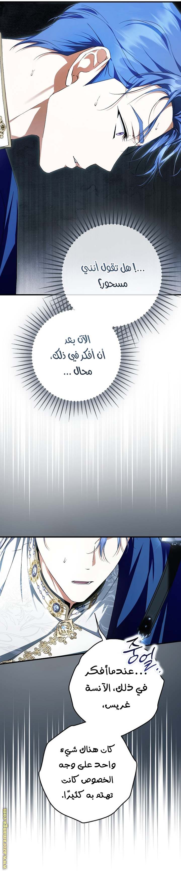 الصفحة 19