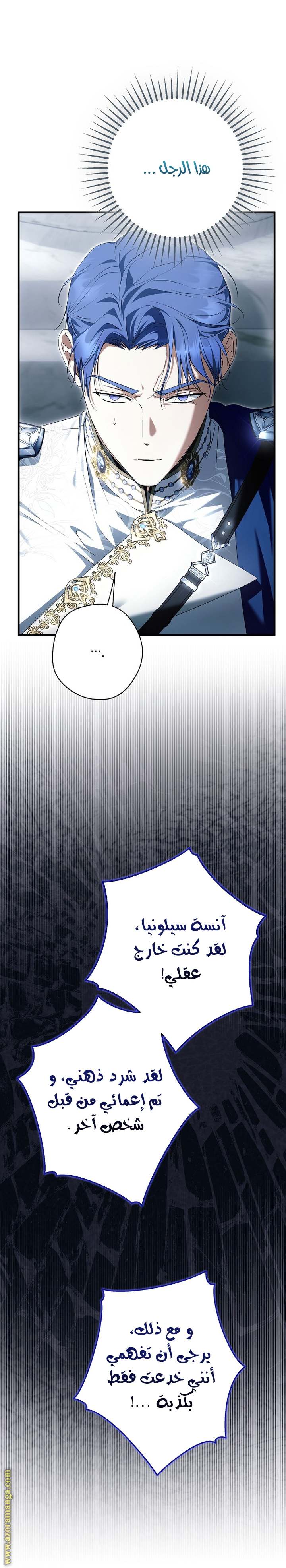 الصفحة 25