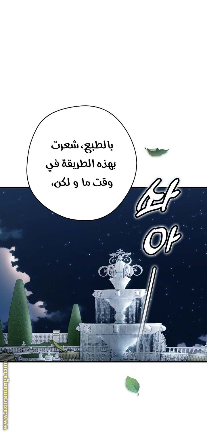 الصفحة 38